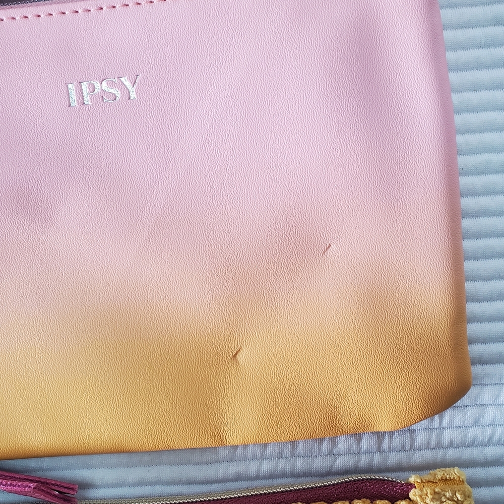 13 Ipsy Glam Bag Cosmetic Pouches Lot Zipped Zipper Empty Travel Lemon Hearts - Picture 7 of 11